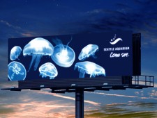 Seattle Aquarium Blacklight Billboard